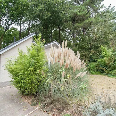 In Near Dunes Schoorl