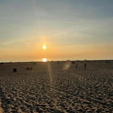 In Near Dunes Schoorl